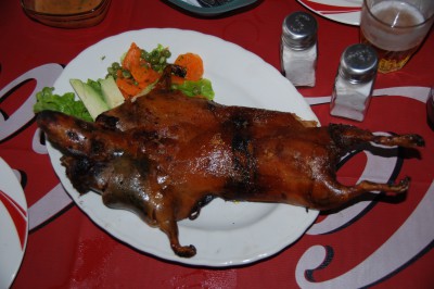 dsc_0090.jpg