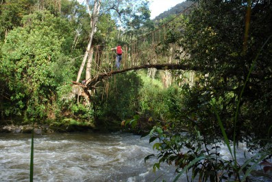 carstensz-pyramid-bruecke.jpg