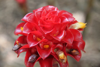 botanischer_garten_sueden-55.jpg