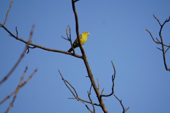 dsc00898.jpg
