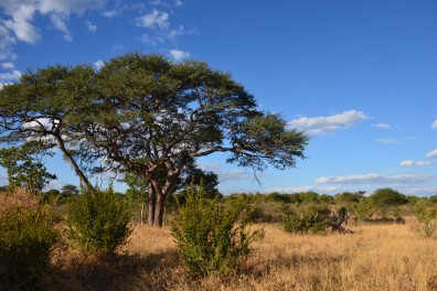dsc_5918.jpg
