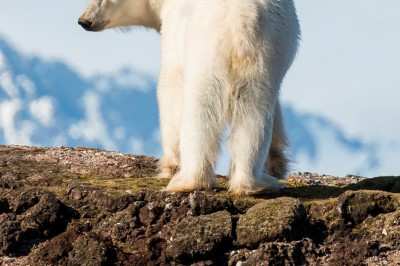 028_b110717_woodfjordenstudioponant-o.blaud.jpg