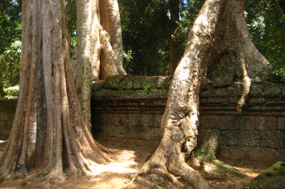 reise-08-363.jpg