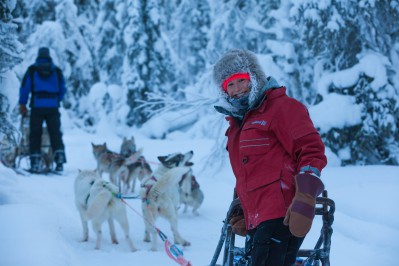 harriniva-hotels-safaris-huskies-36.jpg