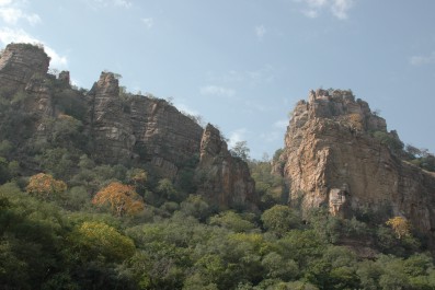 dsc_0390.jpg