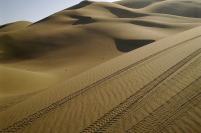 231120114601.jpg