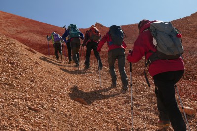 p1135390.jpg