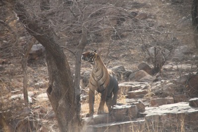 img_7935.jpg