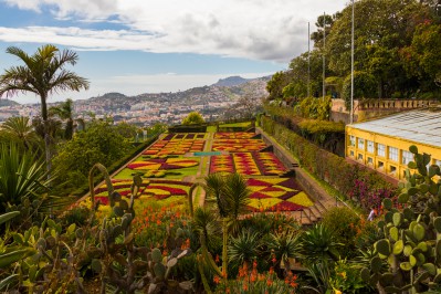 botanical-gardens1-associauo-de-promouo-da-madeira.jpg