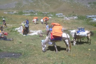 img_20210625_095248.jpg