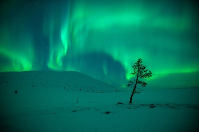 harriniva-hotels-safaris-northern-lights-8.jpg