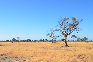 dsc_6031.jpg
