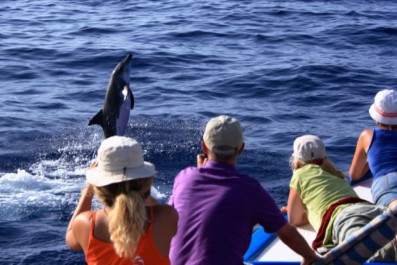 oceano_rauzahn_ozewo_klassik_gomera.jpg