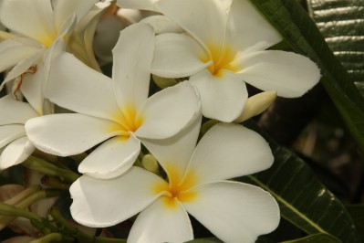 botanischer_garten_sueden-35.jpg