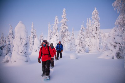 harriniva-hotels-safaris-snowshoes-13.jpg