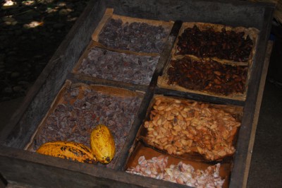 tirimbina0005_1280x857.jpg