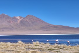 img_20240616_145249.jpg