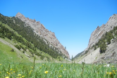 day-3.2-ak-tash-gorge.jpg