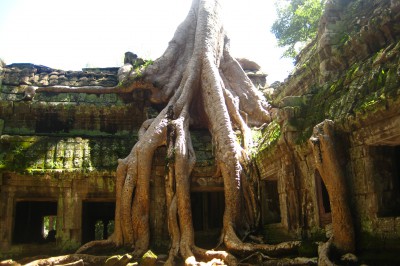 reise-08-372.jpg
