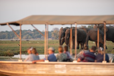 sunway-botswana-chobe-cruise-bruce-taylor-5073.jpg