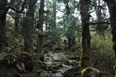 dsc_00781.jpg