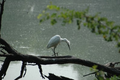 dsc_0403.jpg