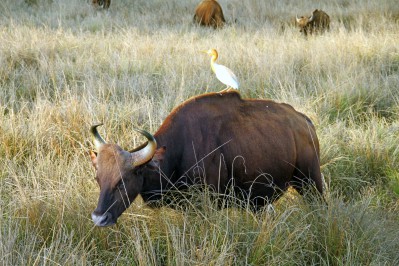 img_8852_bearbeitet.jpg
