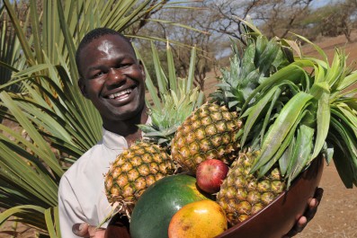 ssc-fresh-fruits.jpg