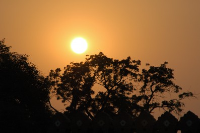 dsc_0442.jpg