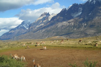 patagonia-303342.jpg