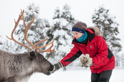 harriniva-hotels-safaris-reindeer-16.jpg
