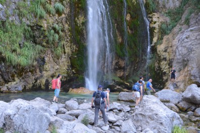 dsc_4455.jpg