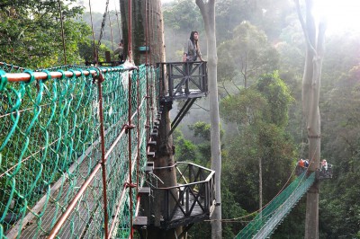 sabah-danum-walkway.jpg