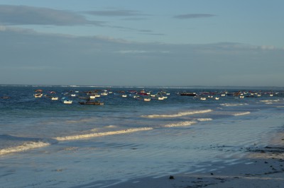p1010044.jpg