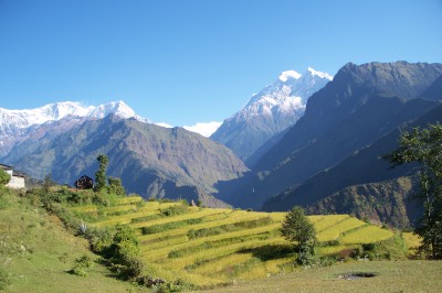 dhaulagiri-trek-1.jpg