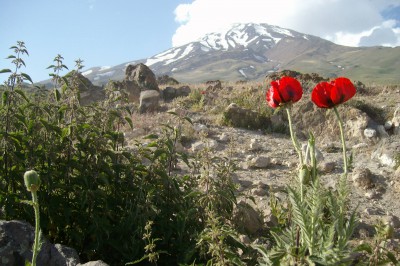 alim0288.jpg