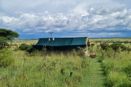 nyikani-tented-camp-serengeti.jpg