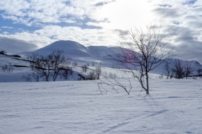 panorama-view.jpg