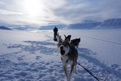 kopie-von-spitzbergen-reisen-hundeschlittentour.jpg