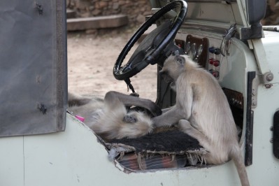 img_7757.jpg