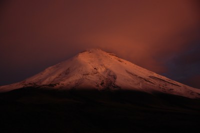 dsc_0551.jpg