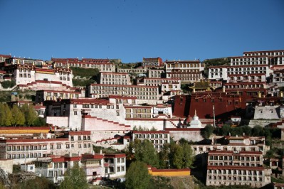 lhasa2.jpg