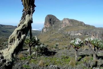 getting-to-mount-elgon-national-parks-750x450.jpg