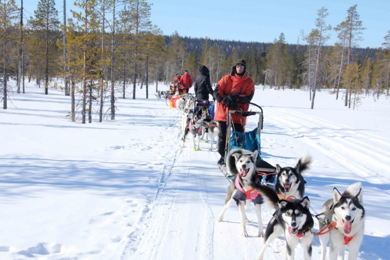 Finnland Panorama Tour über dem Polarkreis AT REISEN
