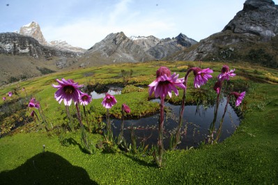 kolumbien_franksternkopf-042.jpg