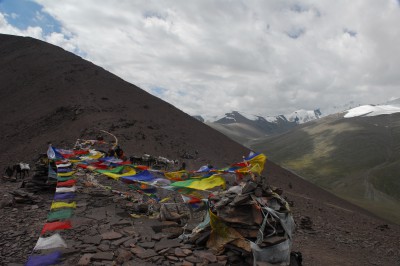 dsc_0487.jpg
