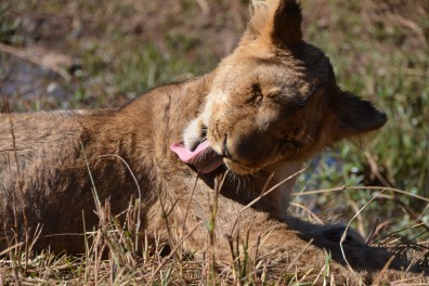 dsc_5565.jpg