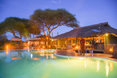tarangire_simba-3384.jpg