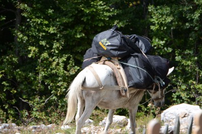 dsc_4402.jpg