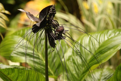 botanischer_garten_sueden-38.jpg